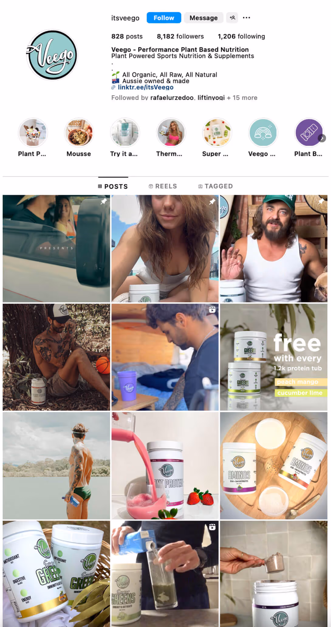 a snippet of an instagram social grid